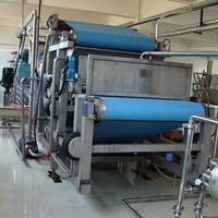 Anxu Mango Sinaasappelpers Type Motor Kerncomponent 75kw 2000KG voor Fruit- en Groenteverwerkingsbedrijf Vruchtensapvulmachine