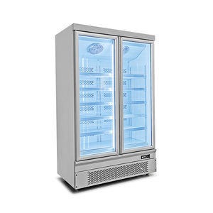 Congélateur commercial à 2 portes pour fruits de mer / pâtisseries / charcuterie, vitrine réfrigérée - Product Image 3