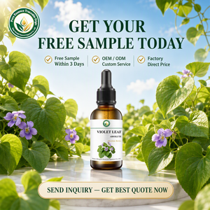 Assoluta di Foglie di Viola Premium (Viola Odorata) Testata GC-MS, Profumo Verde Naturale Fresco e Puro per la <span class=keywords><strong>Profumeria</strong></span> di Alta Qualità - Product Image 5
