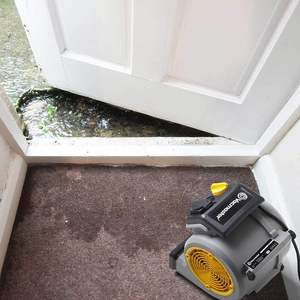 Plancher et tapis de refroidissement à séchage rapide Vacmaster, mini ventilateur portatif à 3 vitesses économe en énergie, AM1202 - Product Image 5