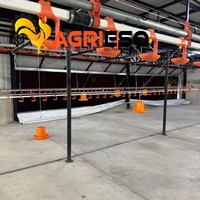 Système d'alimentation automatique pour poules pondeuses avec mangeoires automatiques pour projets d'élevage à grande échelle