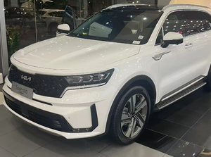 Fabbrica di alta qualità all'ingrosso auto tappetino auto tappetino utilizzato per 2023 <span class=keywords><strong>KIA</strong></span> <span class=keywords><strong>SORENTO</strong></span> - Product Image 3