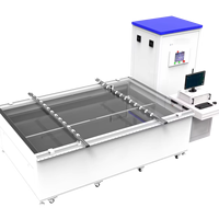 Simulador Solar Fotovoltaico de Grado A+A+A+, Probador de Curva IV, Equipo de Prueba de Módulos de Panel de Película Delgada PERC//HJT