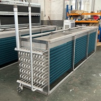 Condensateur évaporatif en acier inoxydable NH3 R717 de 200 kW pour le refroidissement industriel