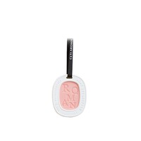 ODIS - Nuevas Bolsitas Aromáticas de Cerámica, Piedras Aromáticas Colgantes, Piedra Aromática con Aceite Esencial Natural para Coche, Armario, Cajones de Ropa