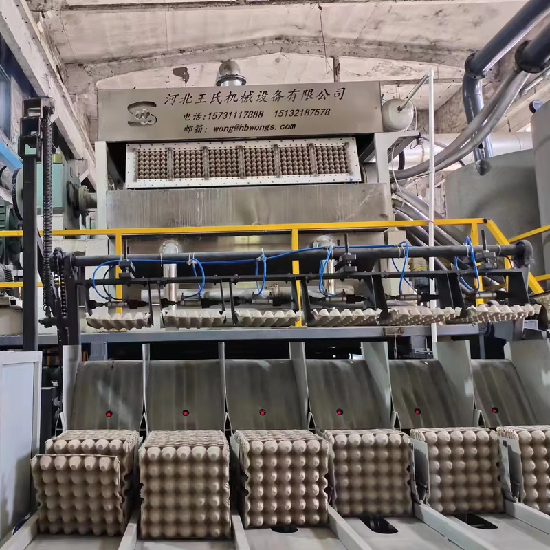 New Technical High Capacity EGG TRAY