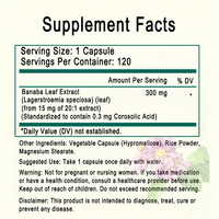 Capsules d'extrait de feuille de Banaba en marque privée OEM, 300 mg par dose, 120 capsules végétariennes, antioxydant et soutien général au bien-être