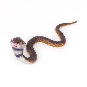 งูยางของเล่นสำหรับเด็กแบบจำลองขนาดใหญ่วัสดุอ่อนนุ่มเป็นมิตรกับสิ่งแวดล้อม - Product Image 5