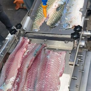 เครื่องลอกหนังปลาอัตโนมัติรุ่นใหม่ <span class=keywords><strong>UD</strong></span> Professional |   เครื่องปอกเปลือกเกรดเชิงพาณิชย์สำหรับโรงงานอาหาร ความเร็ว 44 เมตร/นาที รุ่นที่ 1 - Product Image 1