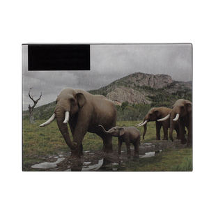 Produttore all'ingrosso immagine personalizzata 100 <span class=keywords><strong>200</strong></span> 500 1000 pezzi <span class=keywords><strong>puzzle</strong></span> di carta fai da te 96 pezzi <span class=keywords><strong>puzzle</strong></span> per bambini - Product Image 6