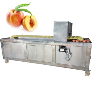 Machine à dénoyauter industrielle professionnelle pour pruneaux, cerises, pêches, abricots, poires / Machine à séparer les graines de pruneaux et de piments - Product Image 2