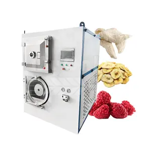 Il mio usato liofilizzazione macchina Mini frutta raccolta a destra liofilizzatore sottovuoto macchina liofilizzazione per la vendita