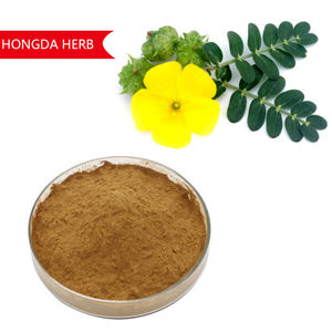 Topkwaliteit Laagste Prijs Supplementen Tribulus Terrestris Extract 90% Saponinen Tribulus Terrestris Extract Poeder - Product Image 2