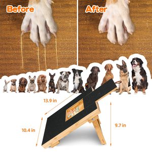 แผ่นข่วนเล็บสุนัข Petdom พร้อมกล่องใส่ขนม แผ่นข่วนเล็บรูปสี่เหลี่ยม - Product Image 4