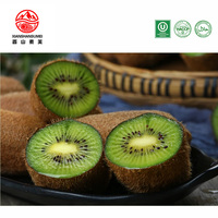 Premium bulk groothandel IQF diepvries kiwi's voor bakkerij, dessert en smoothie