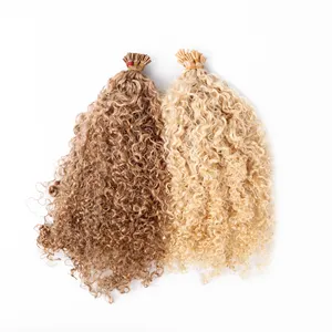 Rohes Haar 10 ''-30'' U/K-Spitze Remy Indisches Menschenhaar Micro Link Nagel haut ausgerichtet Curly Blonde I Tip Haar verlängerung