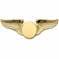 Écusson d'aviation personnalisé USAF, ailes de spécialité plaquées métal, double ailes de pilote, accessoire commémoratif, cadeau souvenir