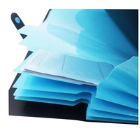Carpeta de Archivos de Plástico PP Negra Impermeable Reutilizable de Tamaño A4 para Oficina, con Bolsillo, OEM ODM