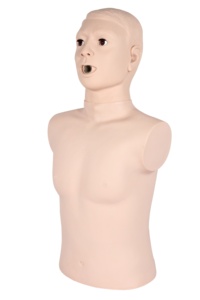 Modèle médical k modèle avancé d'obturation pour adultes modèle de mannequin rcp pour la formation aux premiers soins - Product Image 2