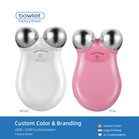 Appareil de massage facial 3D portatif ABS pour usage domestique, avec logo personnalisé, mini-rouleau tenseur de la peau, anti-rides, lifting du visage Bowket