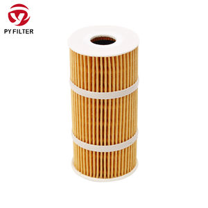 6221800009 Neues hochwertiges Ölfilter element für 2019 RiQi 6 <span class=keywords><strong>2.3</strong></span> TDI Diesel M9T-60A Auto - Product Image 3