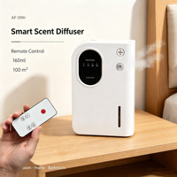 Diffuseur d'arômes mural sans eau 160 ml en plastique PP avec télécommande, minuterie et faible bruit pour hôtels et commerces