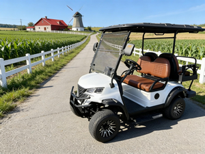 Voiturette de golf électrique 4 places - Compacte, vente en gros, promotion du fabricant, idéale pour les routes non publiques - Product Image 1