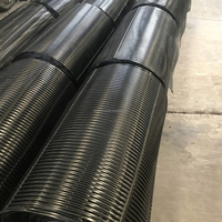 Géogrille uniaxiale en plastique HDPE PP fibre de verre polyester pour la stabilisation des fondations ferroviaires, certification CE, résistance à la traction 70KN