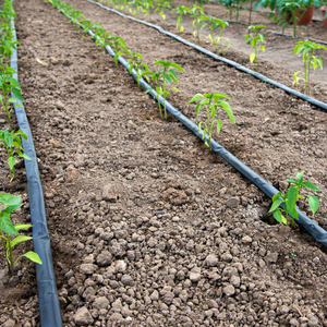 Tuyau d'irrigation goutte à goutte micro 16 mm pour jardin, tube d'irrigation agricole en PVC 1/2 pouce, tuyau d'arrosage - Product Image 1