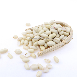 Vente de gros Chine Cacahuètes grillées séchées blanchies <span class=keywords><strong>non</strong></span> <span class=keywords><strong>salées</strong></span> - Product Image 1