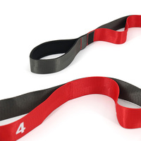 Banda elástica no elástica, correas de yoga, correa de estiramiento con 10 correas de bucle para estirar equipos de fisioterapia