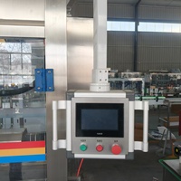 Machine de remplissage entièrement automatique pour sauce tomate/ketchup, pompe rotative à tête unique pour liquides épais