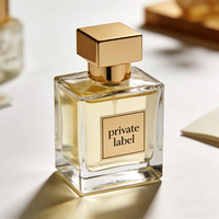 Eau de parfum liquide longue durée aux notes populaires Nouveau design Parfum de luxe unisexe pour hommes et femmes