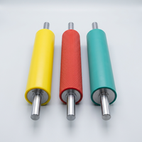 Fournisseur de rouleaux en caoutchouc silicone PU sur mesure, fabricant de rouleaux en polyuréthane de précision, solutions d'impression industrielles, moulage modèle 007-4