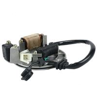 Lifan LF 50cc 110cc 125cc Horizontal Engines Motorcycle Electrical System-AC Ignition Magneto Stator Flywheel Kit for Dirt Pit