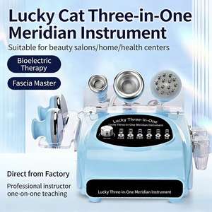 Instrumento de Masaje Fascial para Ventosas y Raspado, Herramienta de Belleza y Salud para Escritorio, Eliminador de Arrugas Corporales - Product Image 3