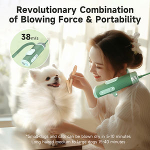 2025 sıcak Pet saç kurutma makinesi güçlü sessiz saç körükler büyük ve küçük köpekler özel darbe kurutucular - Product Image 3