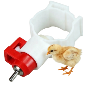 Bebederos Automáticos de 360 Grados <span class=keywords><strong>para</strong></span> Aves de Corral, Bebederos de Tetina Redondos <span class=keywords><strong>para</strong></span> Patos y Codornices, <span class=keywords><strong>para</strong></span> Cría de Pollitos en Granjas - Product Image 6