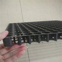 Plaque de vidange à fossettes en plastique HDPE Panneau de cellules de pavage de sous-sol pour toit jardin Geo Sythetics Terrassement Meilleur prix