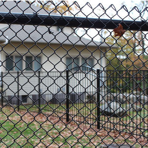 Maillon de chaîne de barrière de court de tennis de grillage de diamant de fer enduit de PVC écologique pour des treillis et des portes d'escrime - Product Image 5