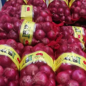 China wholesale fesh onions High Quality Fresh Yellow Onion/ Red Onion cheap price per ton from Jining optimum - New harves