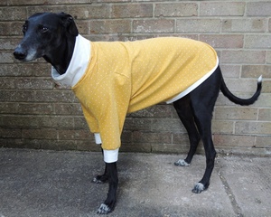 Qiqu animalerie produit en ligne pour chien vêtements vêtements vêtements lévrier <span class=keywords><strong>Lurcher</strong></span> coton Jersey manteau ocre à pois tenues chemise - Product Image 3