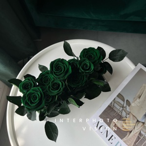 Scatola in acrilico rosa immortale per fidanzata ogni amore nuovo maniero rosa verde scuro - Product Image 2