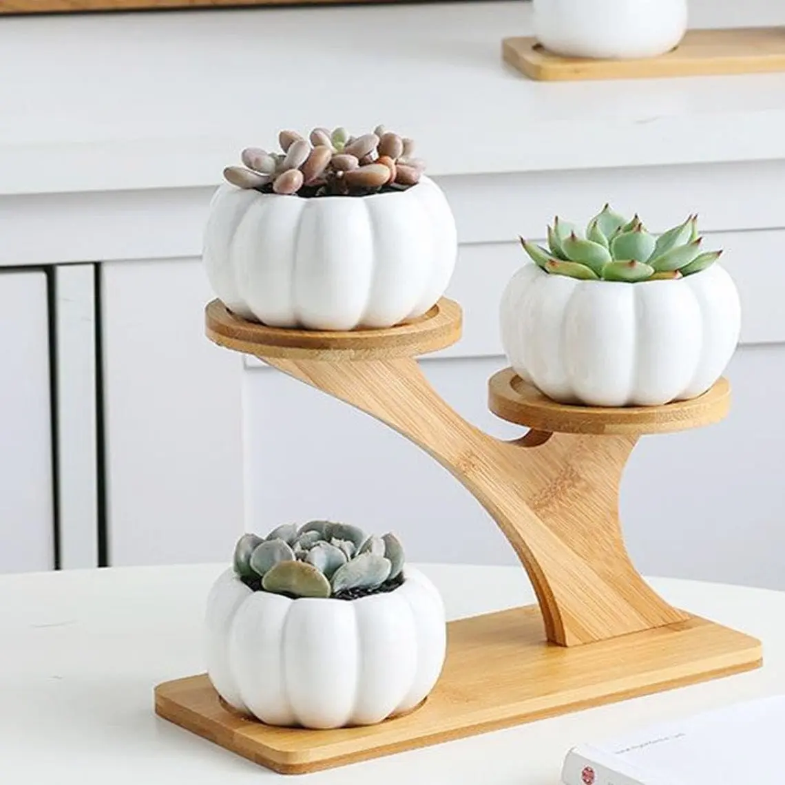 3 Tier Treetop Shaped Bamboo Shelf with White Ceramic Pumpkin / Owl Pattern Succulent Plant Flower Pots
