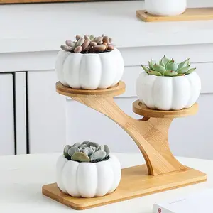 3 Tier Treetop Shaped Bamboo Shelf mit White Ceramic Pumpkin / Owl Pattern Succulent Plant Flower Pots