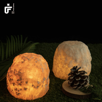 Nouveau design lampe de table sans fil Support modèles personnalisés AAA batterie LED lampe de chevet réglable pour la maison lampe au sel de l'himalaya