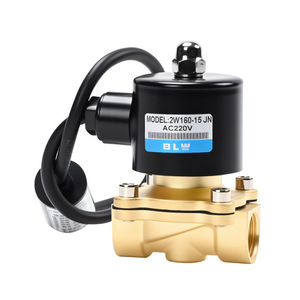 Vanne solénoïde BLW 2W160-15 JN AC220V 1/2 pouce pour le contrôle de l'eau - Product Image 1