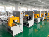 Automatische Verpakkingsmachine Populaire Verpakkingsmachine Voor Fruit