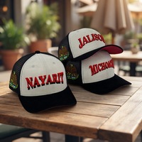 ODM OEM Casquette de camionneur unisexe ajustable à 6 panneaux Broderie 3D en daim Vente en gros Gorras pour l'extérieur Toile Denim Velour Flanelle