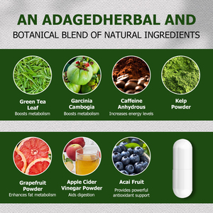 แคปซูลกระตุ้นการเผาผลาญไขมันแบบ OEM ODM ผสมผงชาเขียวและผงเกรปฟรุต ช่วยเผาผลาญไขมัน เพิ่มพลังงาน และกระตุ้นการเผาผลาญ - Product Image 3